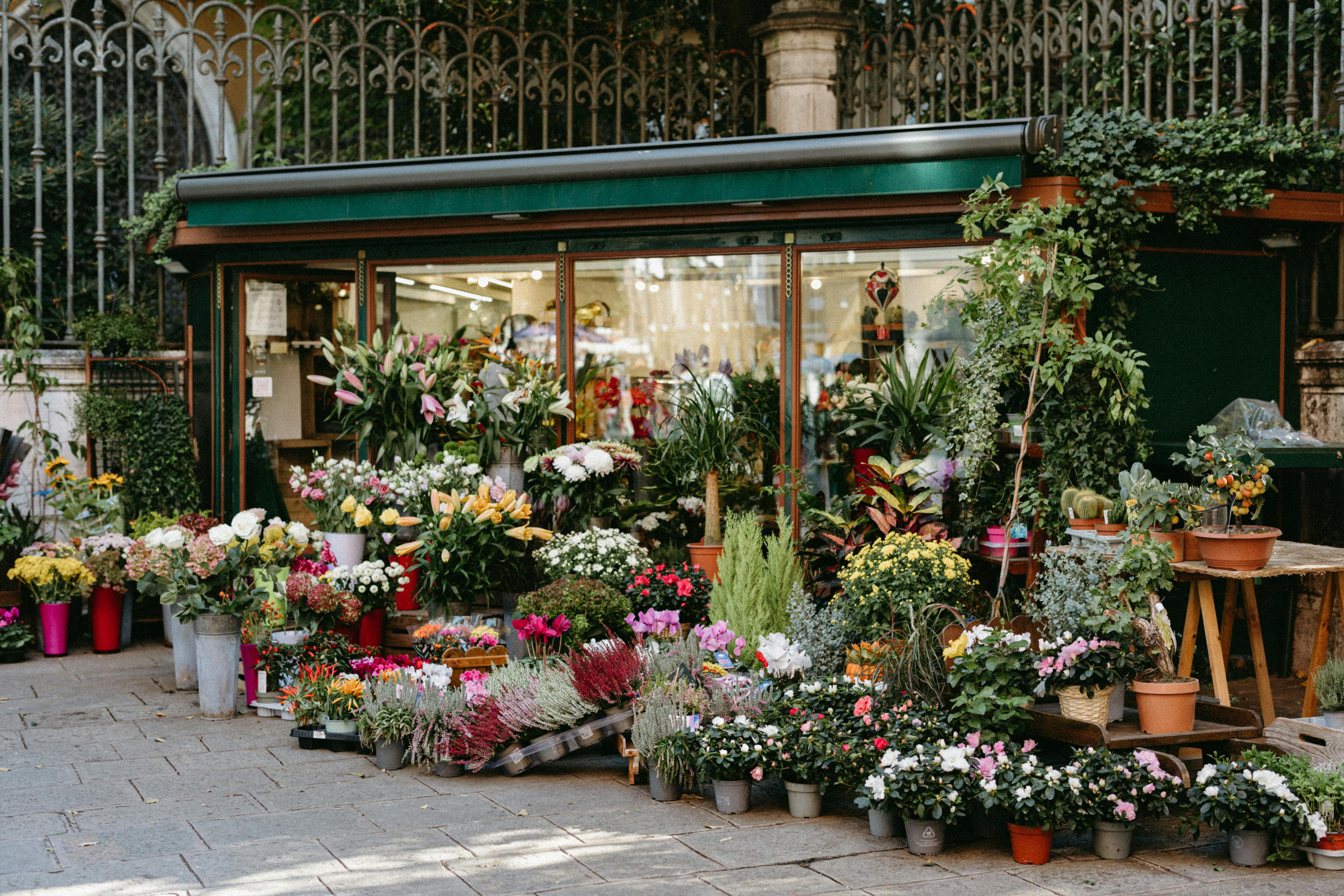 Flora & Bloom Studio